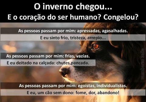Clique para ampliar