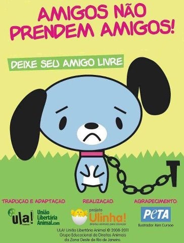 Clique para ampliar