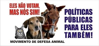 Clique para ampliar