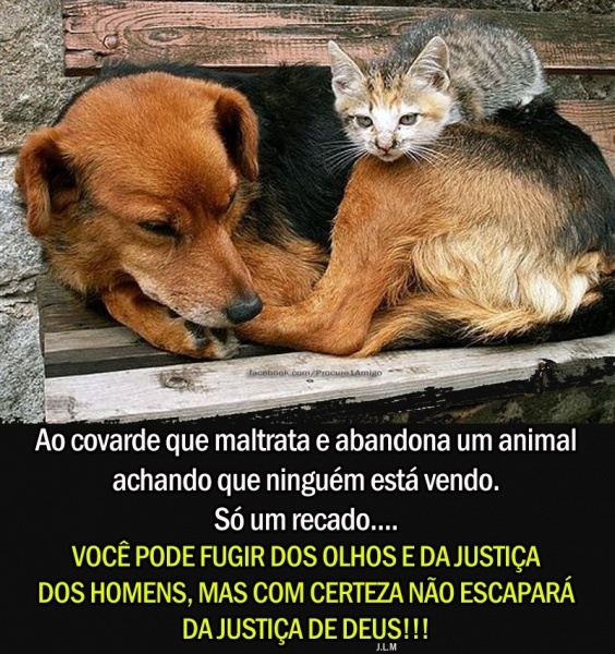 Clique para ampliar