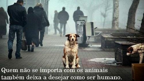 Clique para ampliar