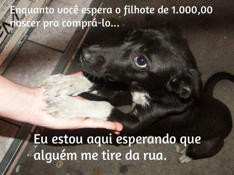 Clique para ampliar