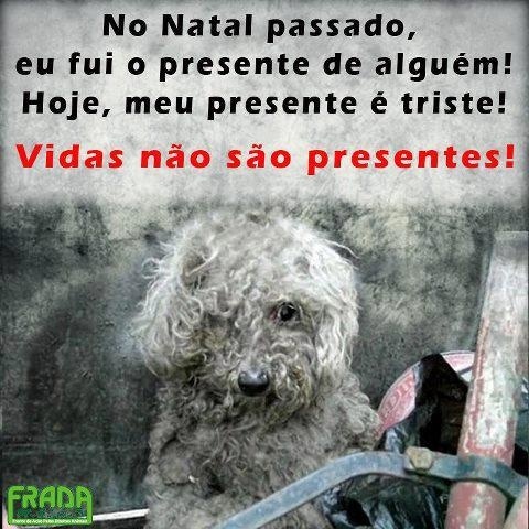 Clique para ampliar