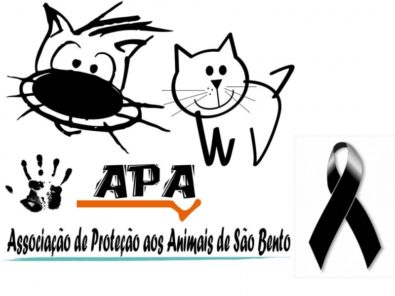 Clique para ampliar