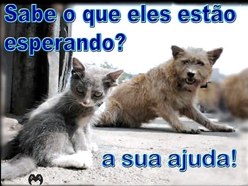 Clique para ampliar