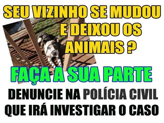 Clique para ampliar