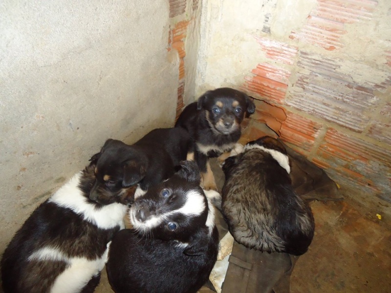 Clique para ampliar
