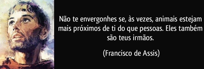 Clique para ampliar