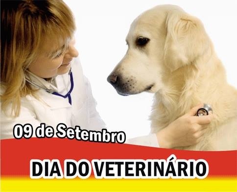 Clique para ampliar