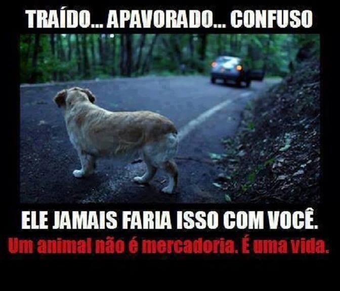 Clique para ampliar