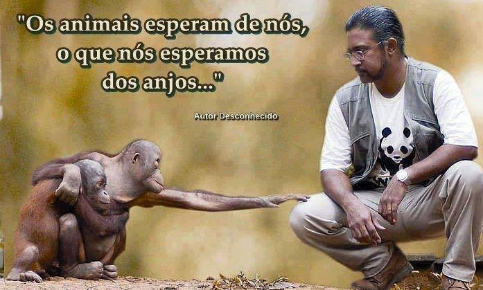 Clique para ampliar