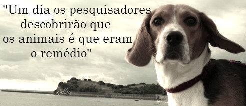 Clique para ampliar