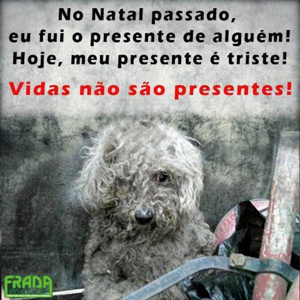 Clique para ampliar
