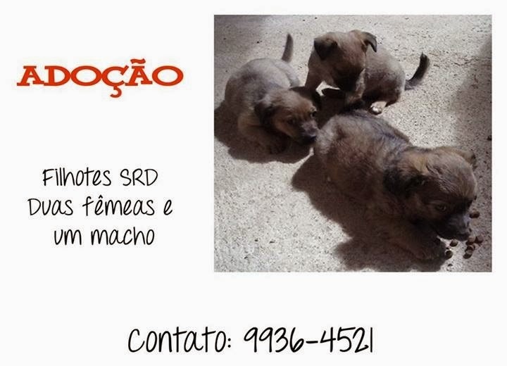 Clique para ampliar