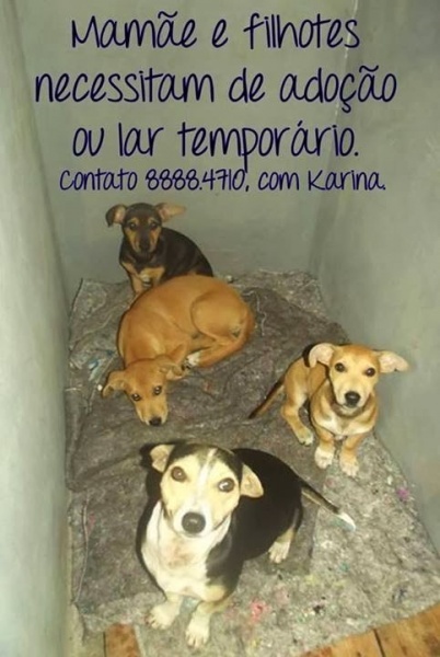 Clique para ampliar