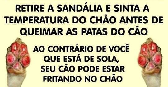 Clique para ampliar