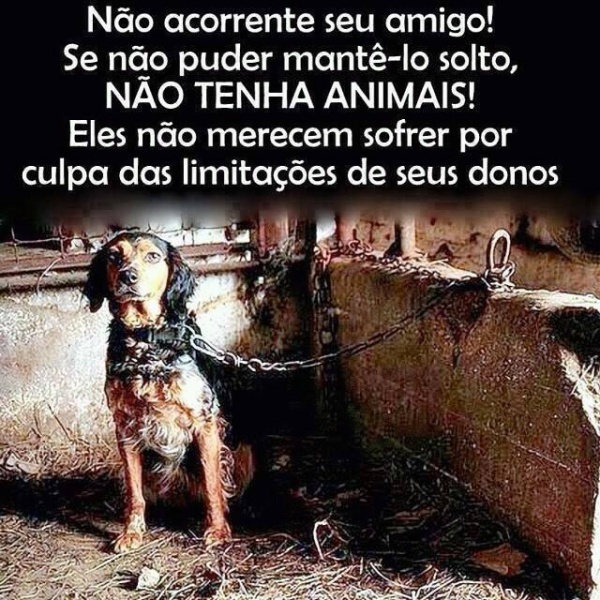 Clique para ampliar