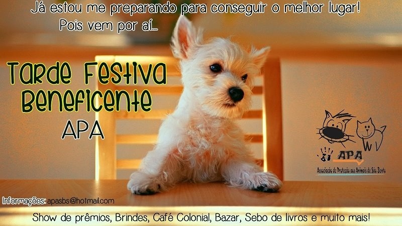 Clique para ampliar