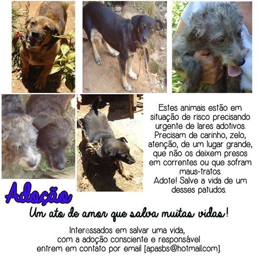 Clique para ampliar