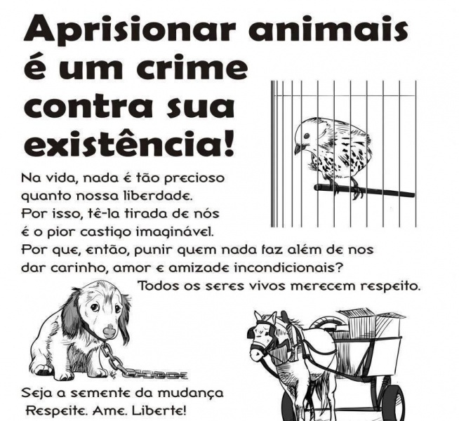 Clique para ampliar