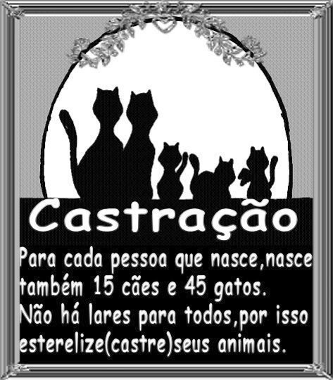 Clique para ampliar