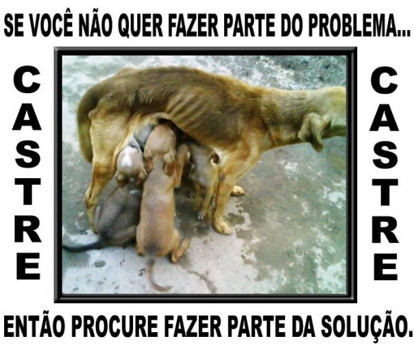 Clique para ampliar