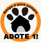 Clique para ampliar
