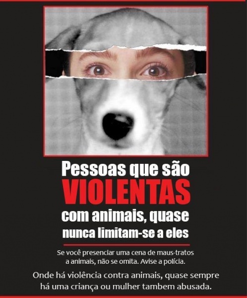 Clique para ampliar