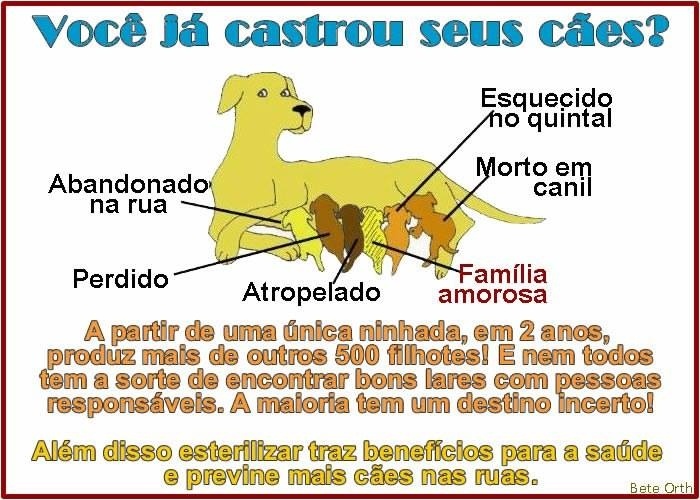 Clique para ampliar