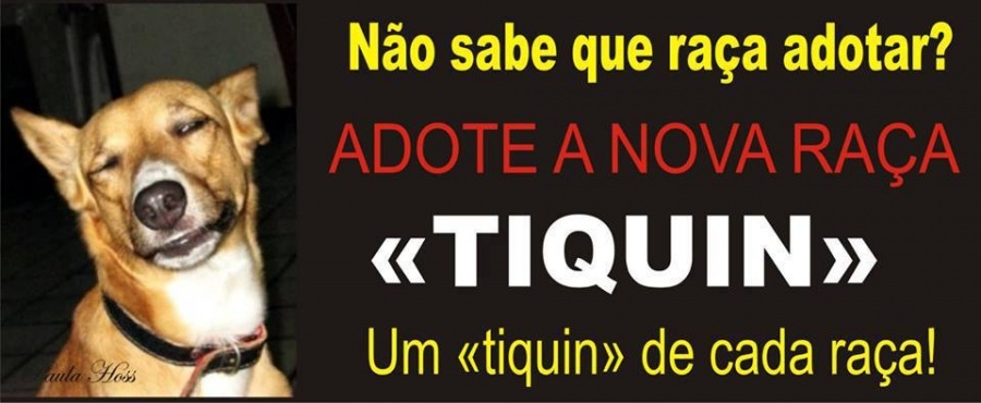 Clique para ampliar