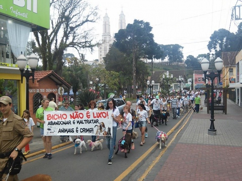 Clique para ampliar