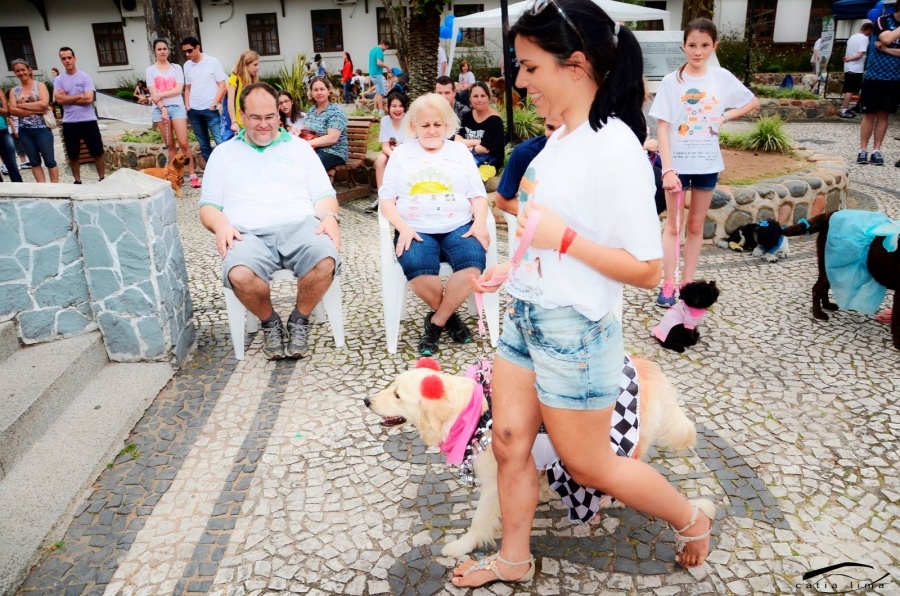 Clique para ampliar
