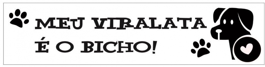 Clique para ampliar