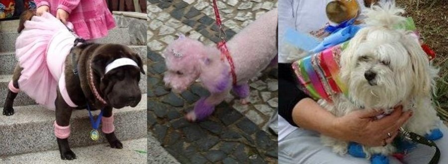 Clique para ampliar